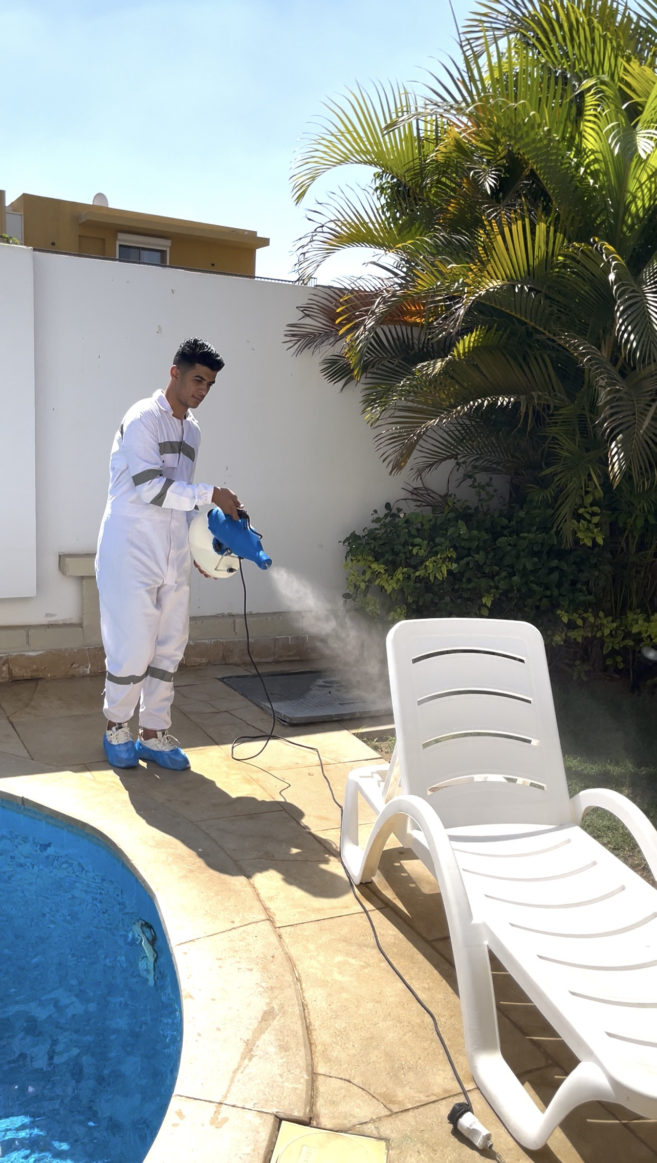 الشركة الالمانية لمكافحة الحشرات | خدمة 24/7 | 0201016662501