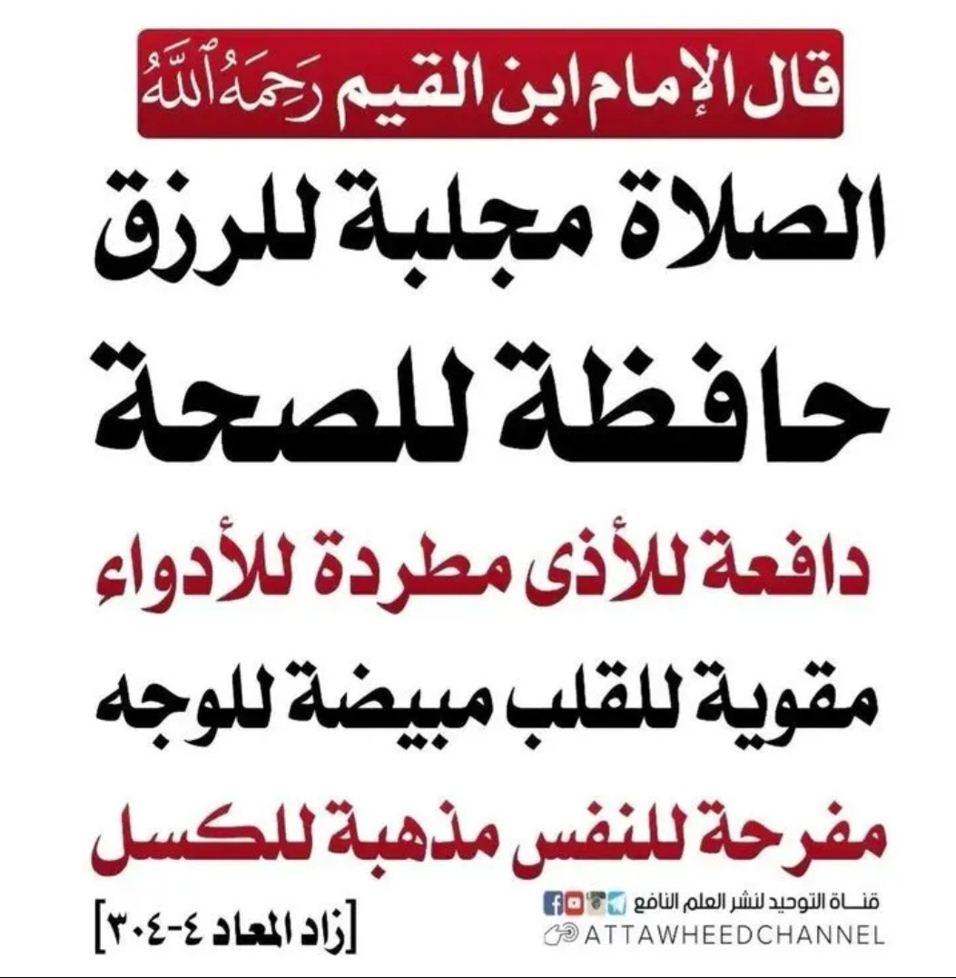 معاذ عثمان أحمد