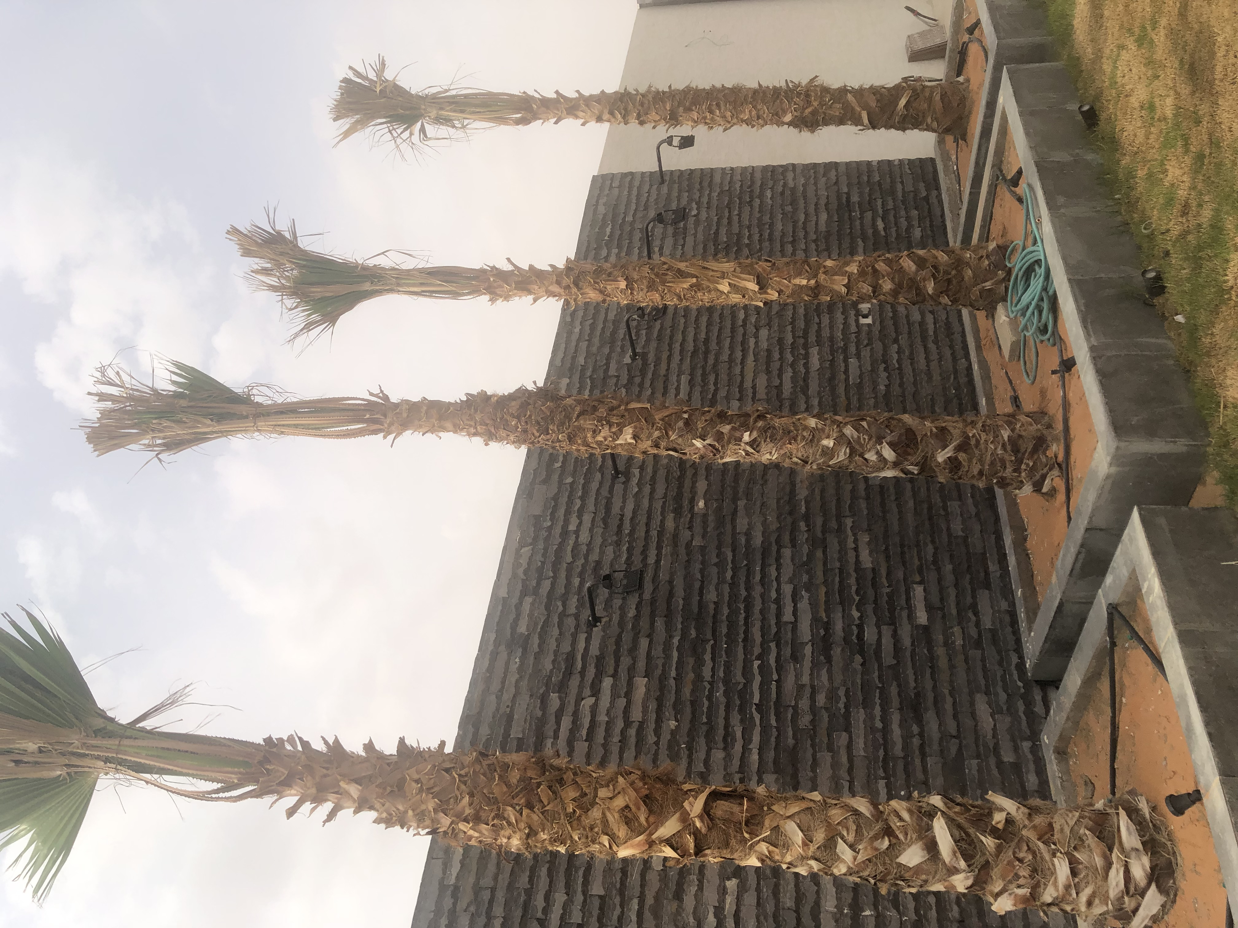 تشطيب لاندسكيب مزارع و إستراحات في الرياض شامل التصميم و الإشراف المجاني 0531226345