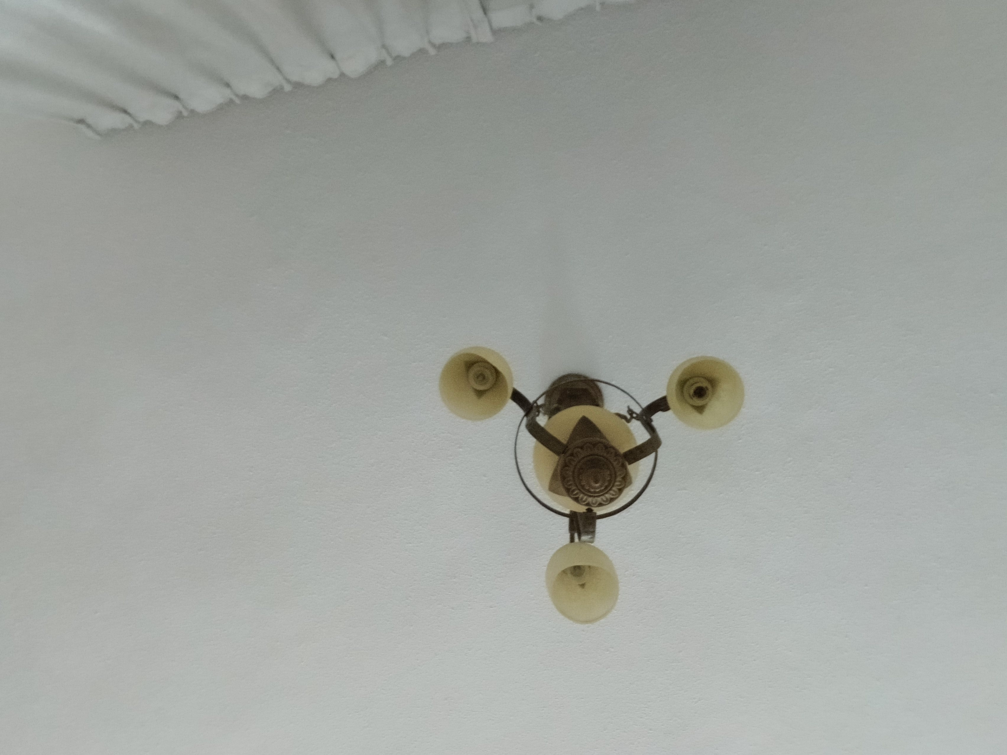 اصدار رخص بلدية فورية